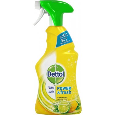 Dettol Spray All Purpose 500Ml Lemon