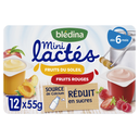 BLEDINA Baby Dairy Dessert Fruits of the Sun and Red Fruits 12 pots of 55g