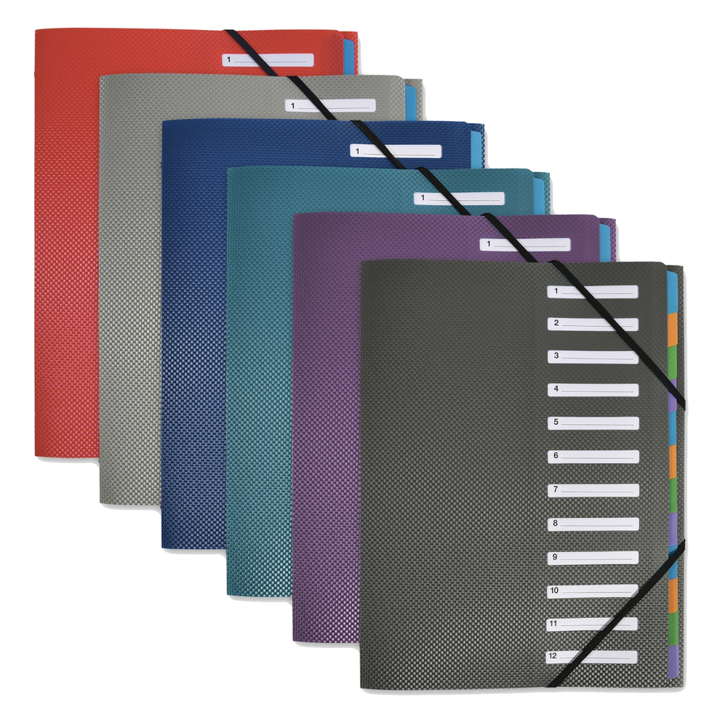 OXFORD Clasificador de 12 posiciones para documentos formato A4 Crossline