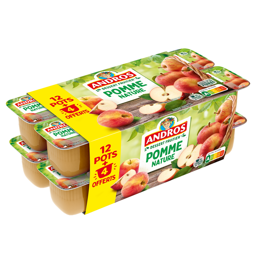 ANDROS Apple Fruit Dessert 16 pots of 100 g