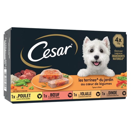 [3065890135147] CESAR Wet Dog Food Adult Terrine Chicken Beef Poultry Turkey Vegetables Les Terrines du Jardin 4x150g