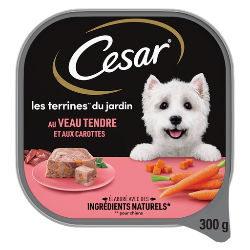 [3065890135208] CESAR Les terrines du jardin with tender veal and carrots 300 g