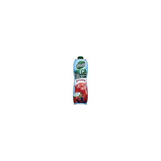 [3092713001303] TEISSEIRE Jarabe de Granadina 150 cl