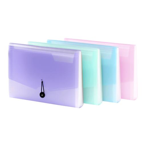 [3135250968897] VIQUEL Expanding file 12 compartments for A4 documents Soft pastel