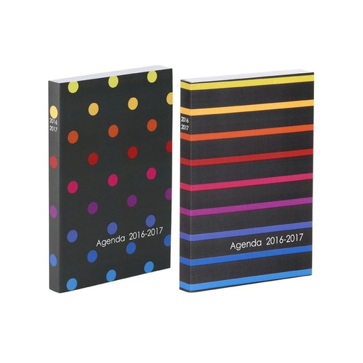 [3135257169075] VIQUEL Envy School Diary 12x17