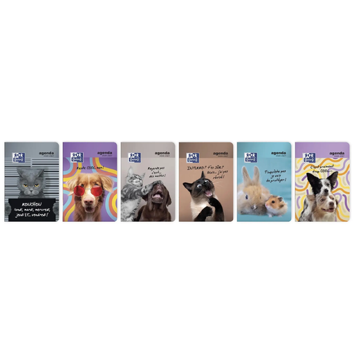 [3147281946102] OXFORD Funny Pets School Diary 12x18 1jp 2023-2024 Assorted