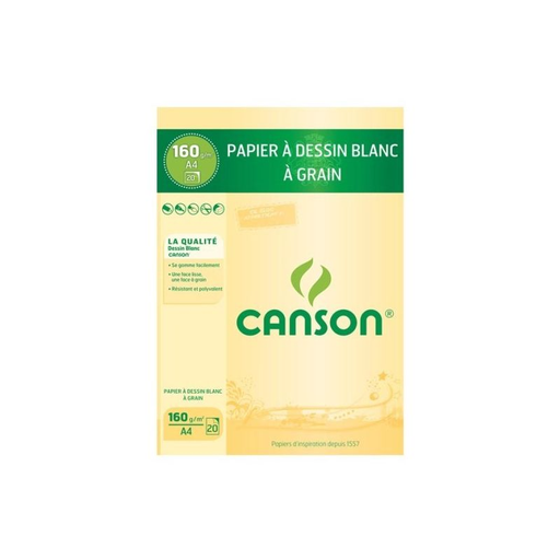 [3148950010926] CANSON Drawing Pad A4 20S160g