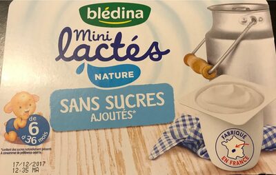 Blédina Mini Lactés Nature, Sans Sucres Ajoutés De 6 À 36 Mois : Les 6 Pots De 55 G - 330 G