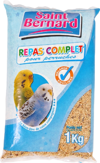 Saint Bernard Kg Melange Perruche -Bernard