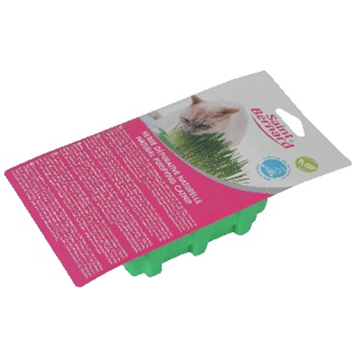 [3180196063519] SAINT BERNARD Natural Depurative Cat Grass