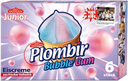 PLOMBIR EISCREME Gelado Bubble Gum 6 x 120 ml