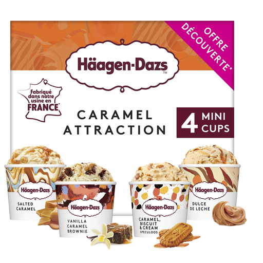 [3415581545814] HAAGEN-DAZS Mini Caramel Attraction Ice Cream x4 321g
