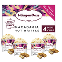 HAAGEN-DAZS Mini helado vainilla macadamia nut brittle 324g