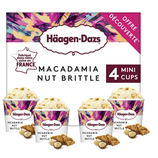 [3415581569810] HAAGEN-DAZS Mini helado vainilla macadamia nut brittle 324g