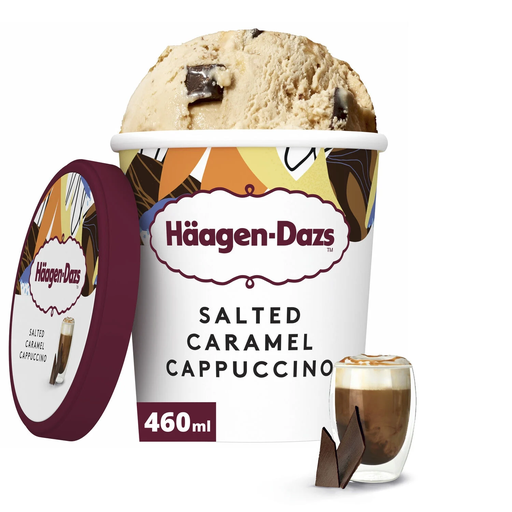 [3415587174711] HAAGEN-DAZS Salted Caramel Cappuccino Ice Cream 400 g