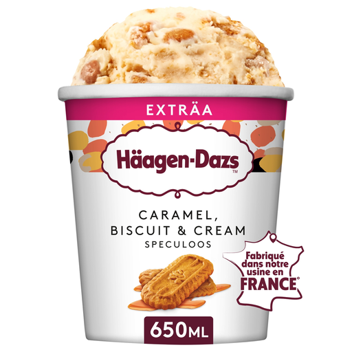 [3415580500012] HAAGEN-DAZS Caramel Biscuit Speculoos Ice Cream 560g