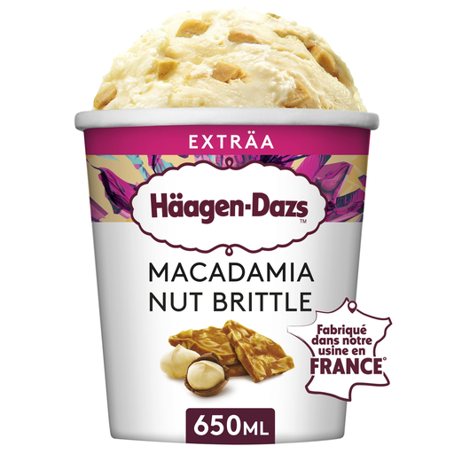 [3415580501019] HAAGEN-DAZS Vanilla Macadamia Nut Brittle Ice Cream 560 g