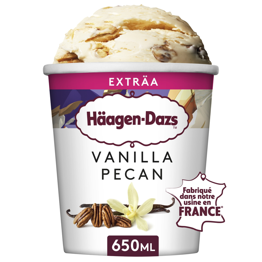 HAAGEN-DAZS Vanilla Pecan Ice Cream 560g