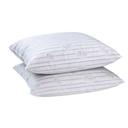 BLANREVE 2 Feather Pillows 60x60cm