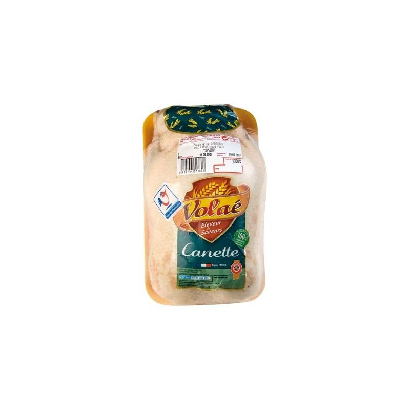 VOLAE Canette Sf 1K6