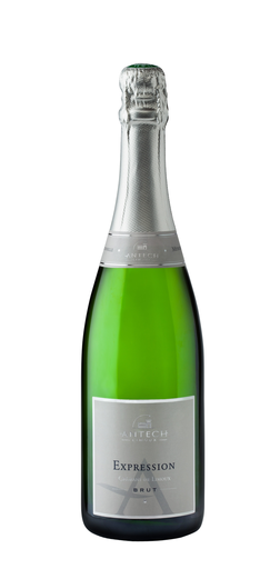 [2000000206028] ANTECH Crémant de Limoux AOP Brut 2017 75 cl