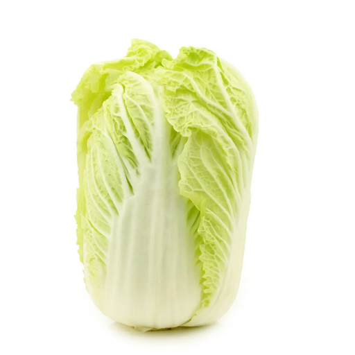 [2030500204880] CHOU Chinese Cabbage 1 piece