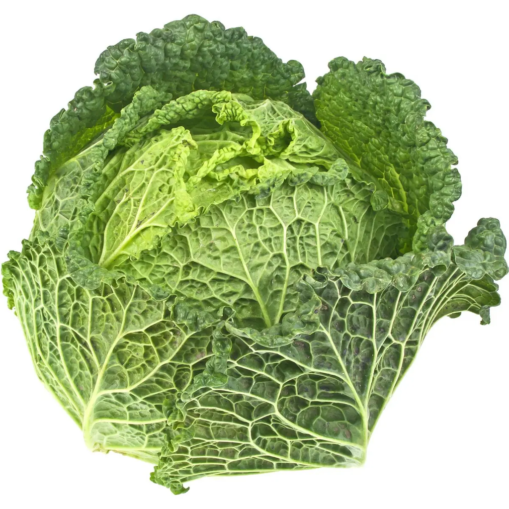 VERT Col rizada 1 pieza