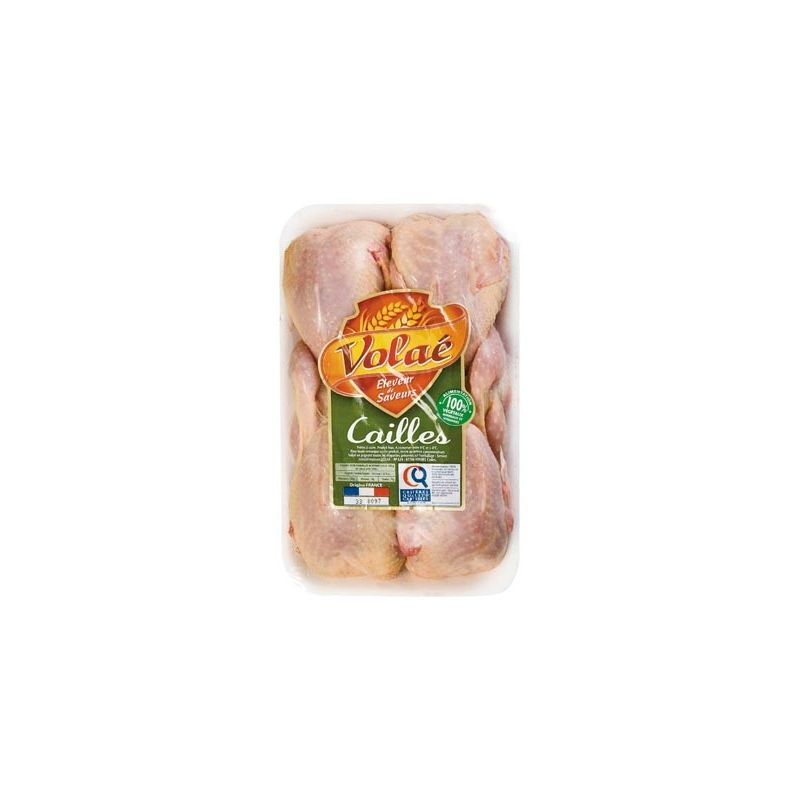 VOLAE Certified Quails X4 640G