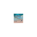 EXACOMPTA Album Photos 200 Photos 10x15cm 22,5x22cm 100 Pages