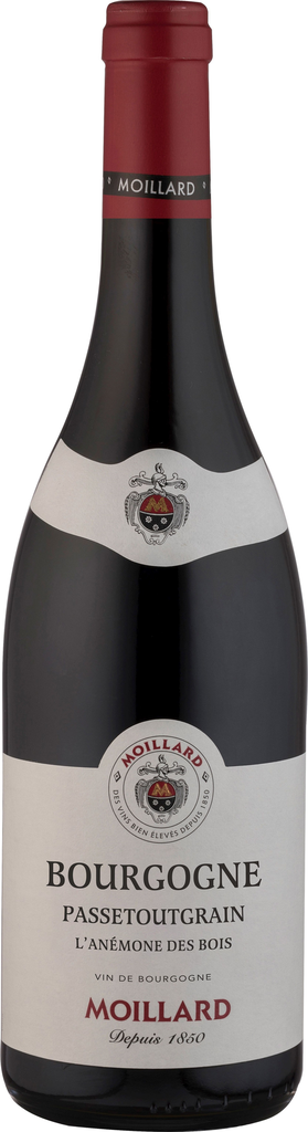 MOILLARD Vin Rouge AOC Bourgogne Passetoutgrain l'Anémone des Bois 75 cl