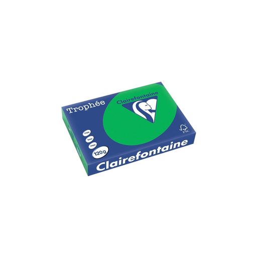 [3329680003680] CLAIREFONTAINE Resma de papel A4 Verde Bilhar 250 folhas Trophée 120 g