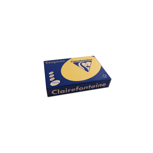 [3329680110302] CLAIREFONTAINE Resma de papel A4 Bouton d'or 160g 250 folhas
