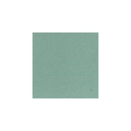 [3329680934991] CLAIREFONTAINE Papel Ingres-Pastel Verde Água 50x65cm 130g 25 Folhas