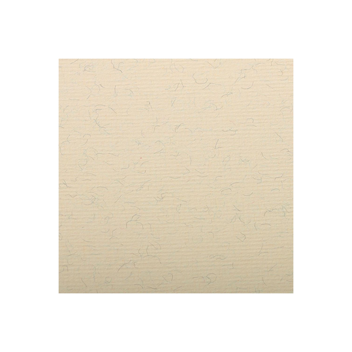 [3329680935028] CLAIREFONTAINE Papel Ingres Pastel 25 Folhas 50x65cm Creme Marmoreado 130g
