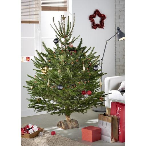 [3523670283537] CARREFOUR Natural Nordmann Fir Tree with Wooden Log Base 100-150cm