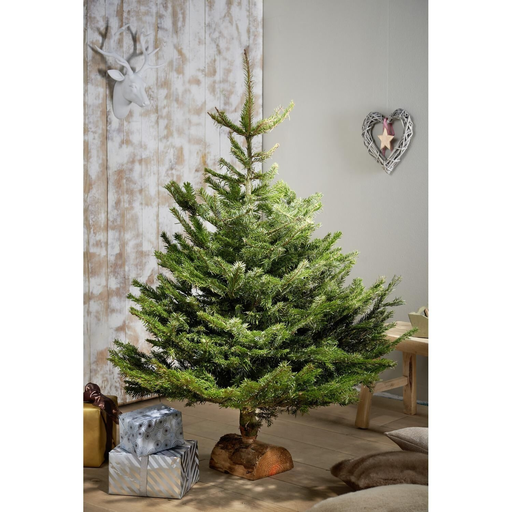[3523670283544] CARREFOUR Natural Nordmann Fir Tree with Wooden Log Base 150-200cm