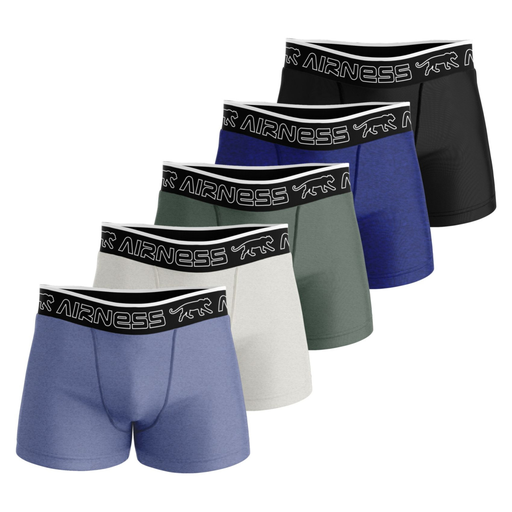 [3606911246949] AIRNESS 5 Boxers de Homem em Algodão Starter
