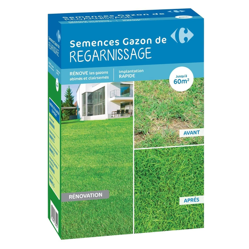 [3616475333412] CARREFOUR Semence Gazon Regarnissage Rapide 60m2