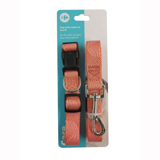 [3616479170006] CARREFOUR CLASSIC Dog Collar and Leash Nylon Size M set