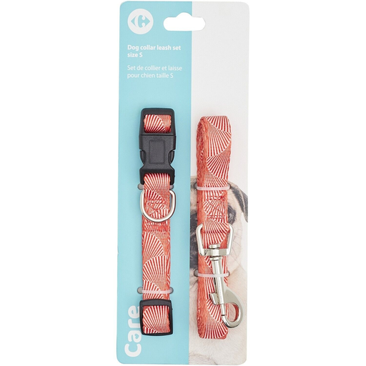 [3616479183266] CARREFOUR CLASSIC Dog Collar and Leash Nylon Size S