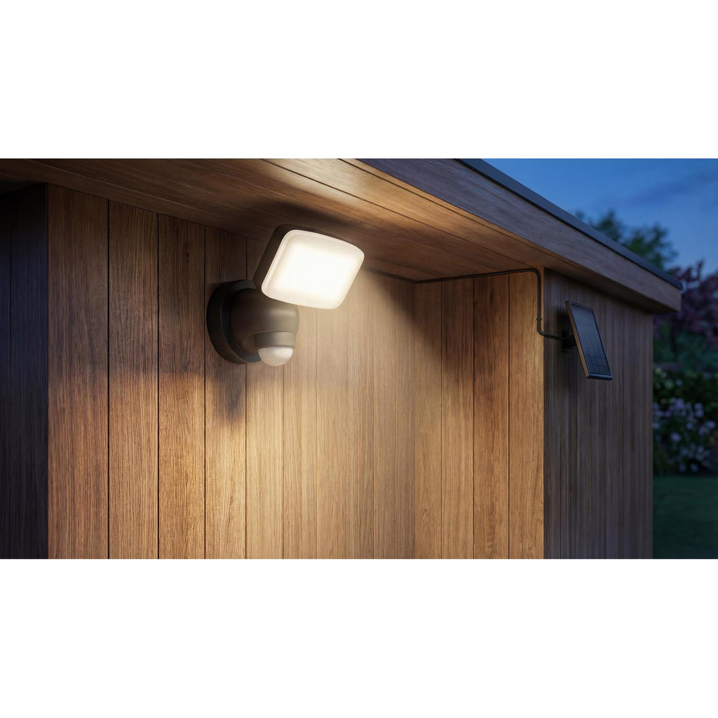 CARREFOUR Solar Spotlight for Garden Shed