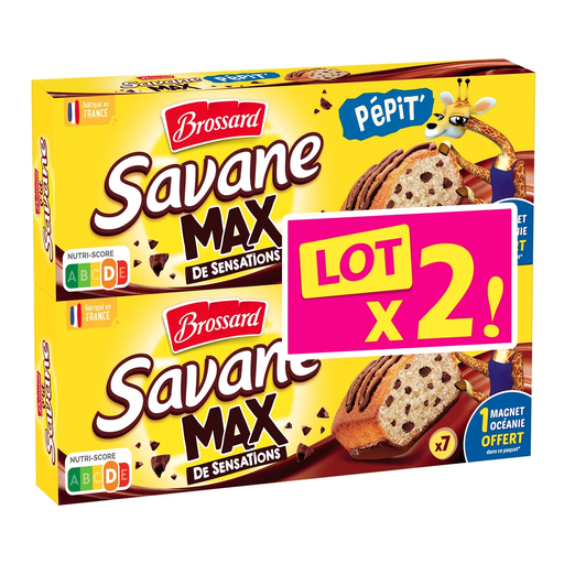 [3660140959902] BROSSARD Savane Pépit' chocolate chip cakes 2 packs of 210 g