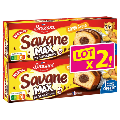 [3660140967600] BROSSARD Gâteaux Savane moelleux fourrés au chocolat 2 x 180 g
