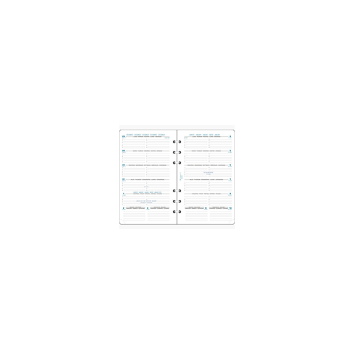 [3660942001236] EXACOMPTA Refill For Agenda Exatime 17 2025 18212E