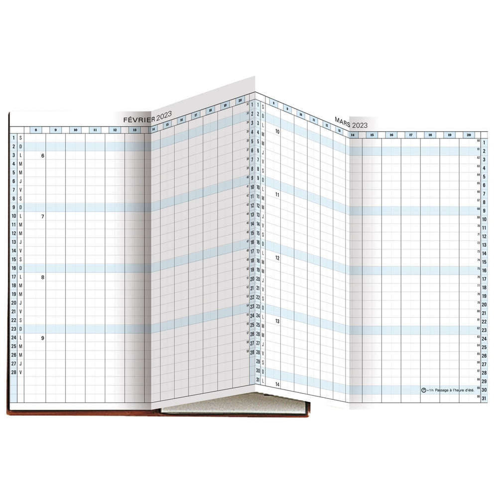 EXACOMPTA Pocket Diary EXAPLAN 17, 2023, Winner Assorted