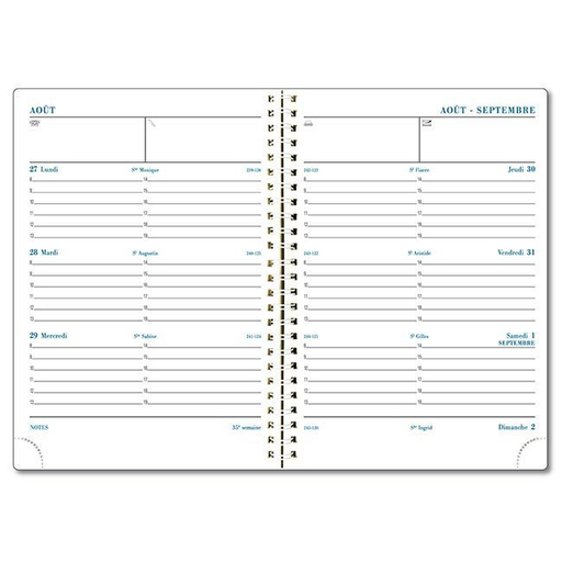 [3660942002158] EXACOMPTA Office Diary SAD 19W Assorted 2022/2023