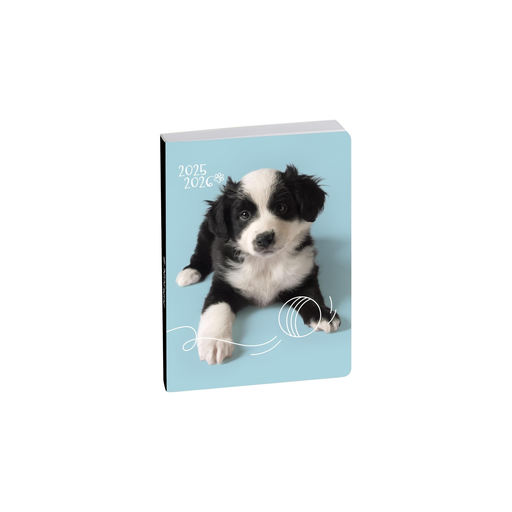 [3660942086974] EXACOMPTA Chiot Mignon School Diary 2025/2026