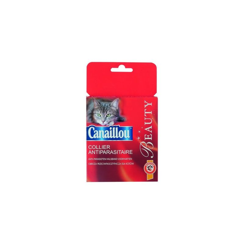 Canaillou 7Canaillou.Chat.Collier.Insect