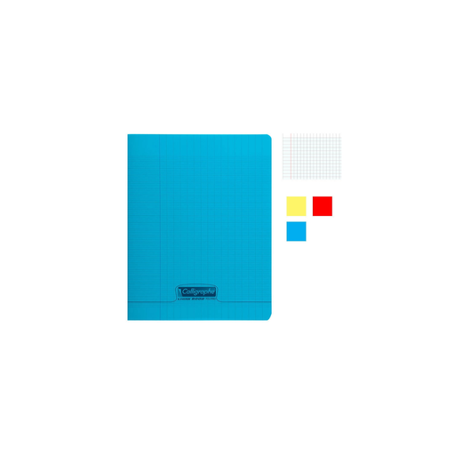 [3665136009494] CLAIREFONTAINE Set of 3 Notebooks 24x32cm Large Squares 192 Pages Polypro