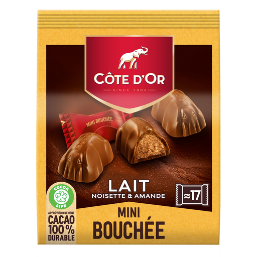 [7622201641054] COTE D'OR Milk chocolate mini bites 158 g